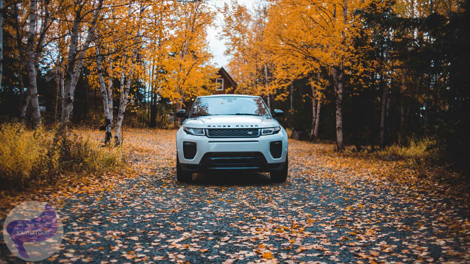 كراء السيارات في الناظور